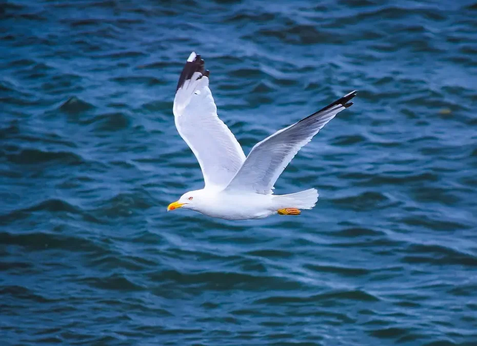 Ventajas de vivir en Cantabria: la perla del Norte de España